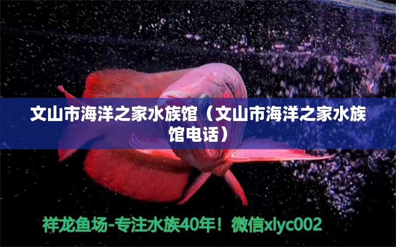 文山市海洋之家水族馆（文山市海洋之家水族馆电话） 全国水族馆企业名录