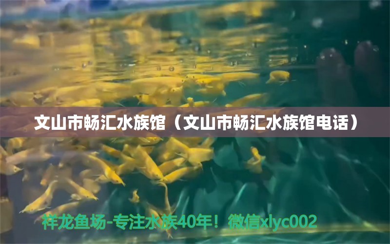 文山市畅汇水族馆（文山市畅汇水族馆电话）