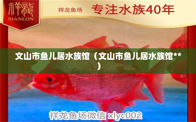 文山市鱼儿居水族馆（文山市鱼儿居水族馆**） 全国水族馆企业名录