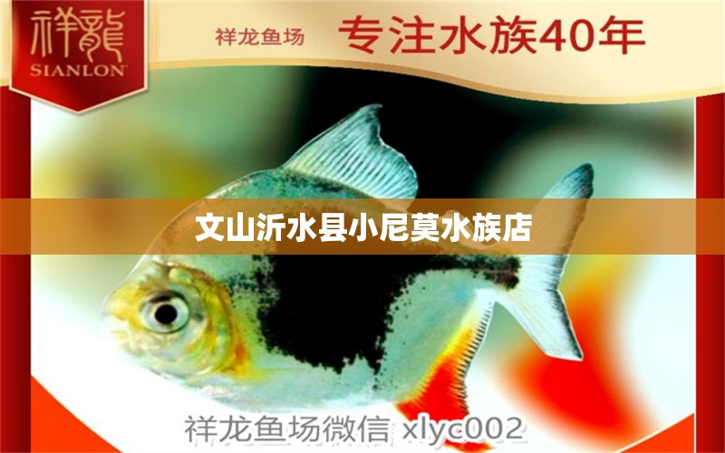 文山沂水县小尼莫水族店 全国水族馆企业名录