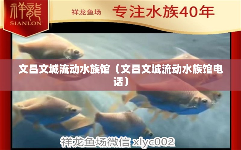 文昌文城流动水族馆（文昌文城流动水族馆电话） 全国水族馆企业名录