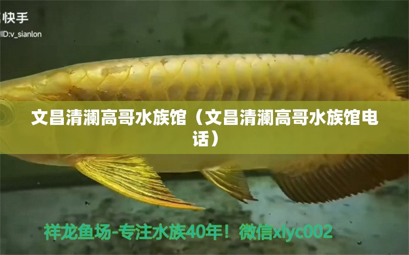 文昌清澜高哥水族馆（文昌清澜高哥水族馆电话） 全国水族馆企业名录