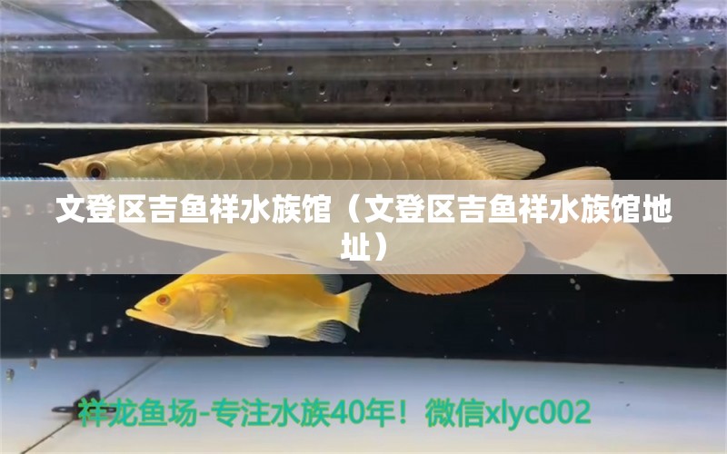 文登区吉鱼祥水族馆（文登区吉鱼祥水族馆地址）