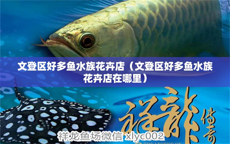 文登区好多鱼水族花卉店（文登区好多鱼水族花卉店在哪里）