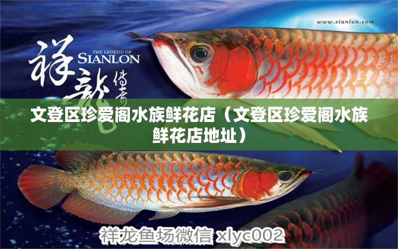 文登区珍爱阁水族鲜花店（文登区珍爱阁水族鲜花店地址） 全国水族馆企业名录