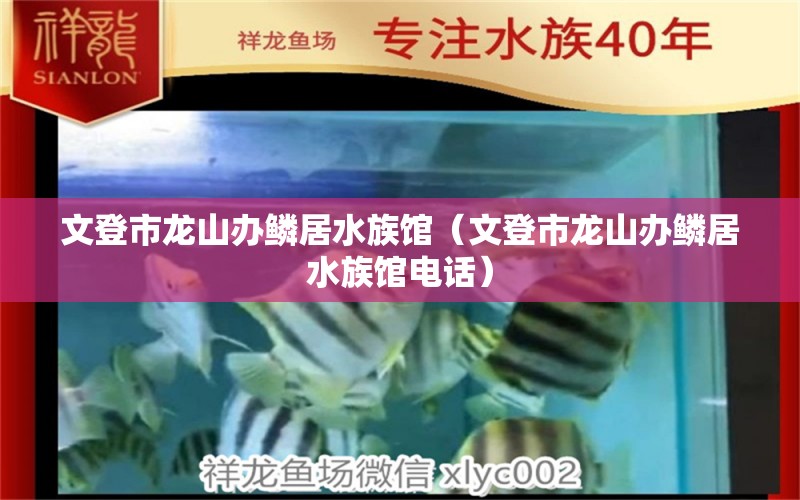 文登市龙山办鳞居水族馆（文登市龙山办鳞居水族馆电话） 全国水族馆企业名录