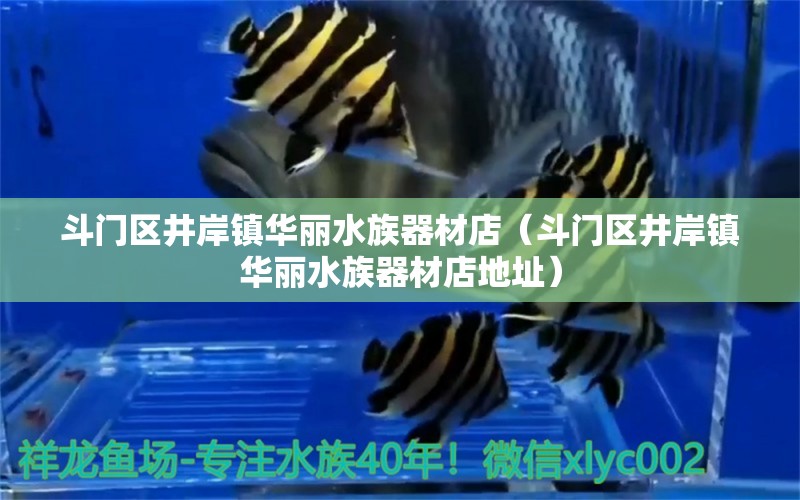 斗门区井岸镇华丽水族器材店（斗门区井岸镇华丽水族器材店地址）