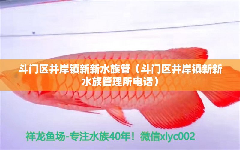 斗门区井岸镇新新水族管（斗门区井岸镇新新水族管理所电话） 全国水族馆企业名录