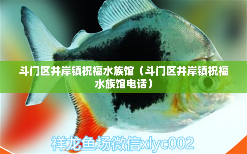 斗门区井岸镇祝福水族馆（斗门区井岸镇祝福水族馆电话）