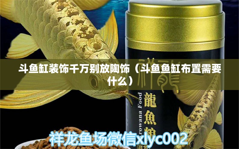 斗鱼缸装饰千万别放陶饰（斗鱼鱼缸布置需要什么） 广州观赏鱼批发市场