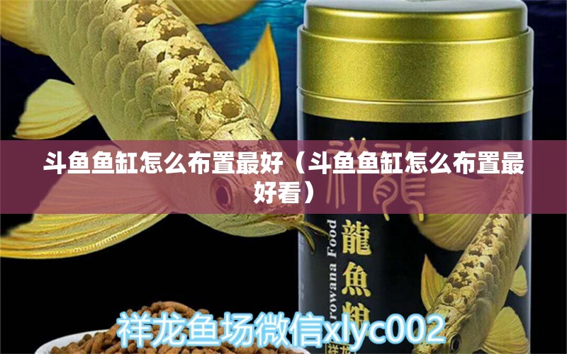 斗鱼鱼缸怎么布置最好（斗鱼鱼缸怎么布置最好看）