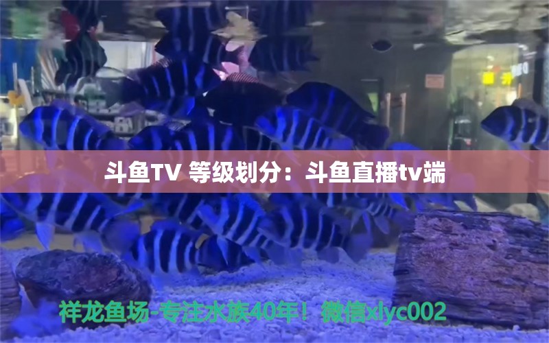 斗鱼TV 等级划分：斗鱼直播tv端 观赏鱼