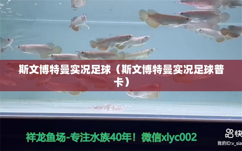 斯文博特曼实况足球（斯文博特曼实况足球普卡）