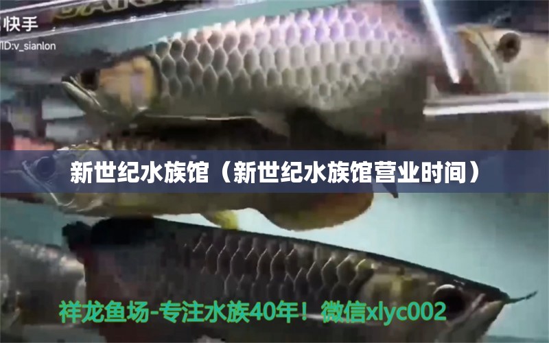 新世纪水族馆（新世纪水族馆营业时间）