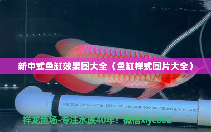 新中式鱼缸效果图大全（鱼缸样式图片大全）