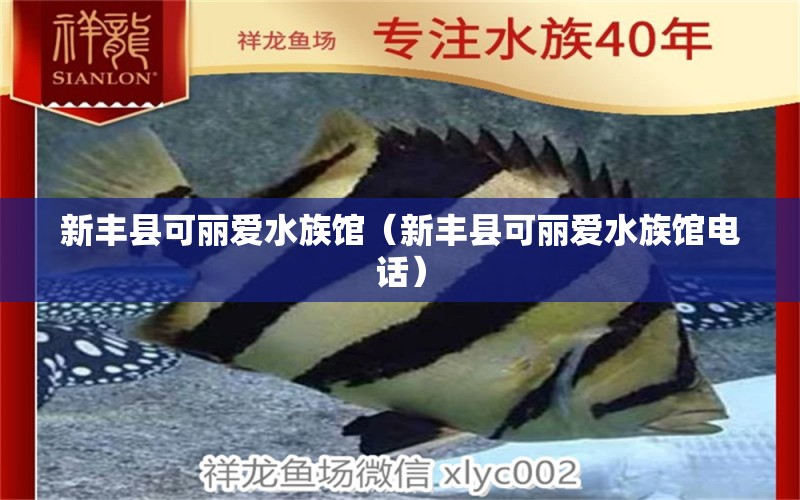 新丰县可丽爱水族馆（新丰县可丽爱水族馆电话） 全国水族馆企业名录