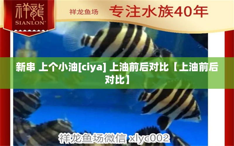 新串 上个小油[ciya] 上油前后对比【上油前后对比】 观赏鱼论坛 第3张