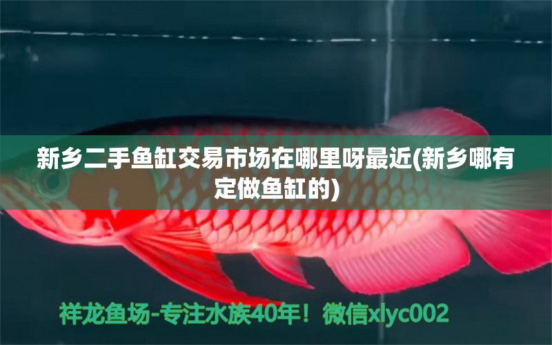 新乡二手鱼缸交易市场在哪里呀最近(新乡哪有定做鱼缸的) 古典过背金龙鱼 第1张