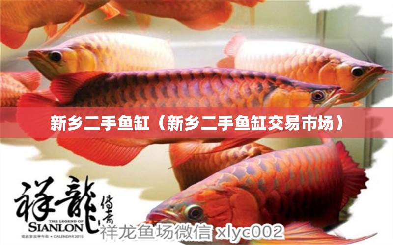 新乡二手鱼缸（新乡二手鱼缸交易市场） 其他品牌鱼缸