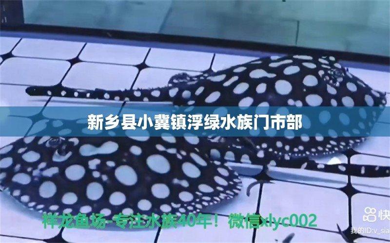 新乡县小冀镇浮绿水族门市部