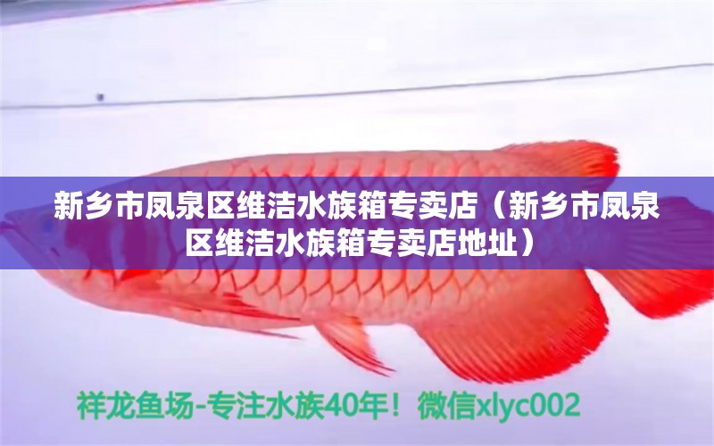 新乡市凤泉区维洁水族箱专卖店（新乡市凤泉区维洁水族箱专卖店地址）