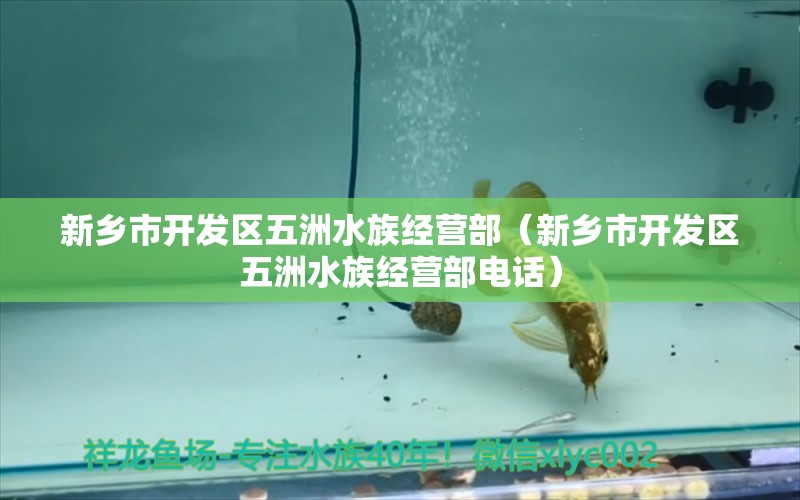 新乡市开发区五洲水族经营部（新乡市开发区五洲水族经营部电话）