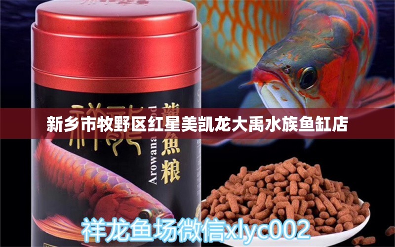 新乡市牧野区红星美凯龙大禹水族鱼缸店 全国水族馆企业名录