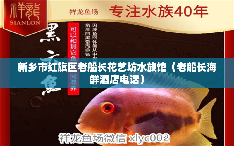 新乡市红旗区老船长花艺坊水族馆（老船长海鲜酒店电话） 全国水族馆企业名录