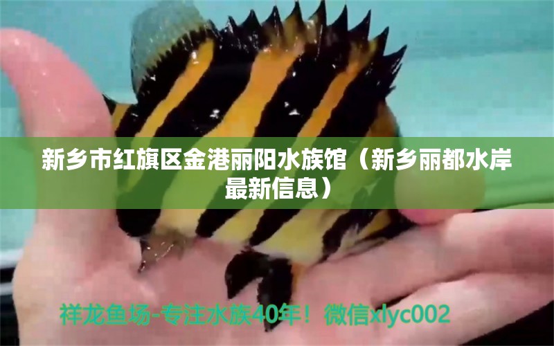 新乡市红旗区金港丽阳水族馆（新乡丽都水岸最新信息） 全国水族馆企业名录