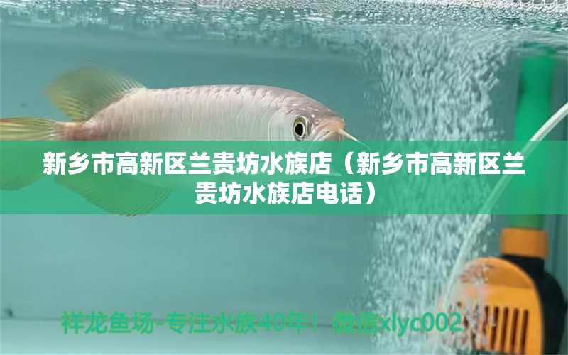 新乡市高新区兰贵坊水族店（新乡市高新区兰贵坊水族店电话） 全国水族馆企业名录