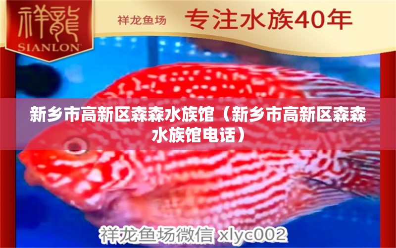 新乡市高新区森森水族馆（新乡市高新区森森水族馆电话） 全国水族馆企业名录