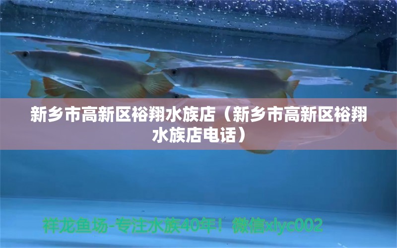 新乡市高新区裕翔水族店（新乡市高新区裕翔水族店电话）