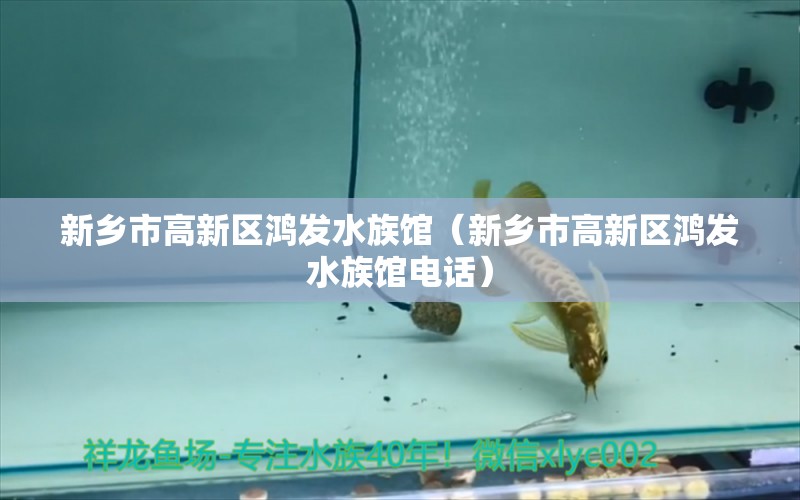 新乡市高新区鸿发水族馆（新乡市高新区鸿发水族馆电话） 全国水族馆企业名录