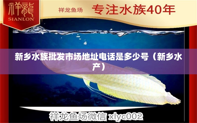 新乡水族批发市场地址电话是多少号（新乡水产）