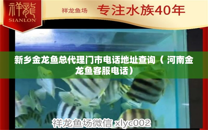 新乡金龙鱼总代理门市电话地址查询（ 河南金龙鱼客服电话） 和尚鱼 第1张