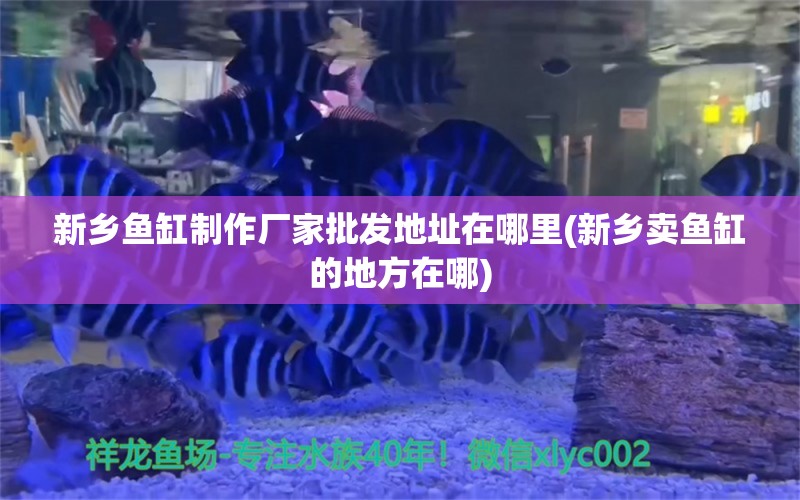 新乡鱼缸制作厂家批发地址在哪里(新乡卖鱼缸的地方在哪)