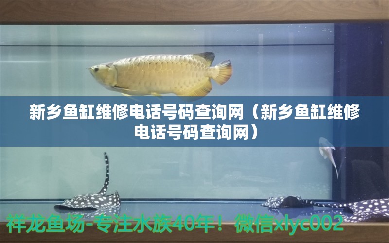 新乡鱼缸维修电话号码查询网（新乡鱼缸维修电话号码查询网）