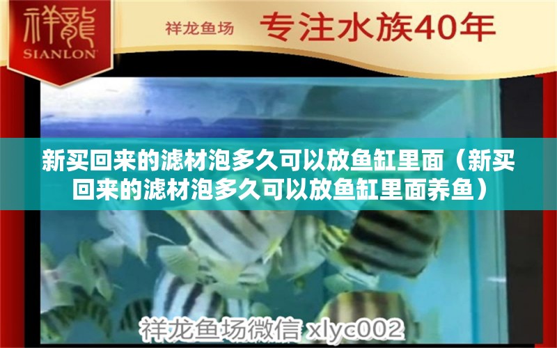 新买回来的滤材泡多久可以放鱼缸里面（新买回来的滤材泡多久可以放鱼缸里面养鱼）