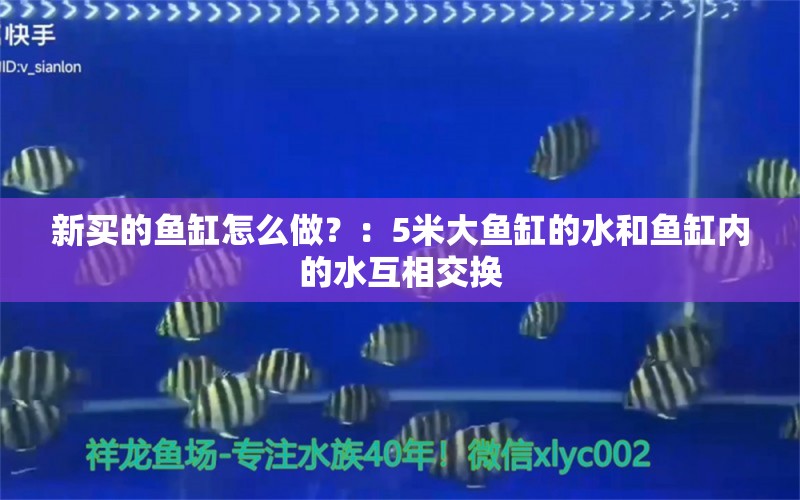 新买的鱼缸怎么做？：5米大鱼缸的水和鱼缸内的水互相交换 鱼缸百科 第2张