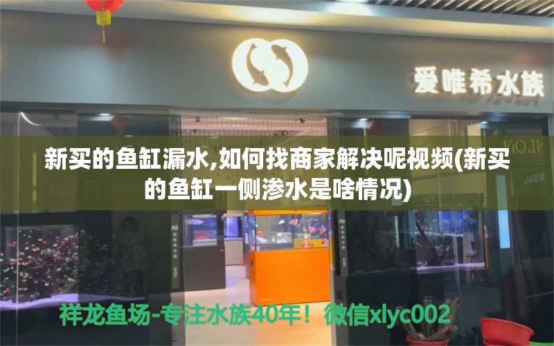 新买的鱼缸漏水,如何找商家解决呢视频(新买的鱼缸一侧渗水是啥情况)