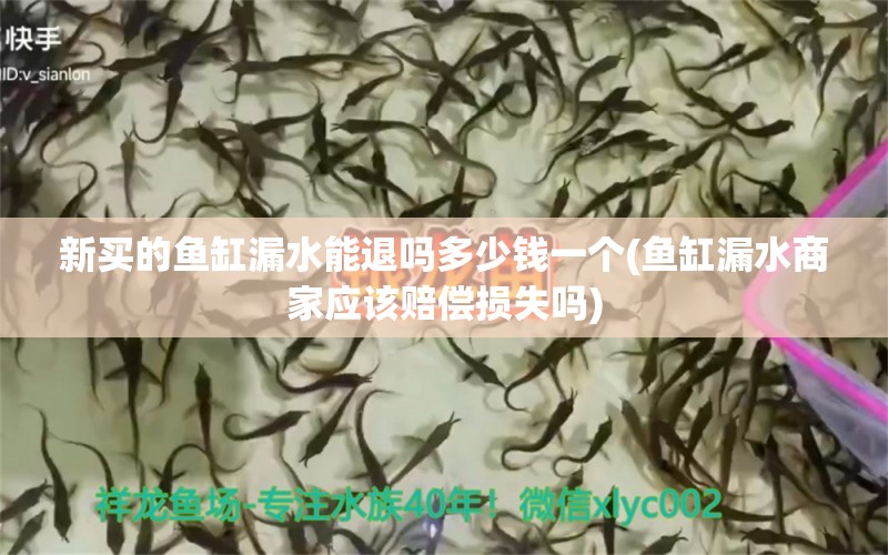 新买的鱼缸漏水能退吗多少钱一个(鱼缸漏水商家应该赔偿损失吗)