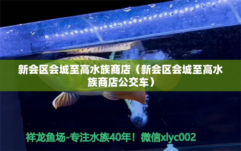 新会区会城至高水族商店（新会区会城至高水族商店公交车）