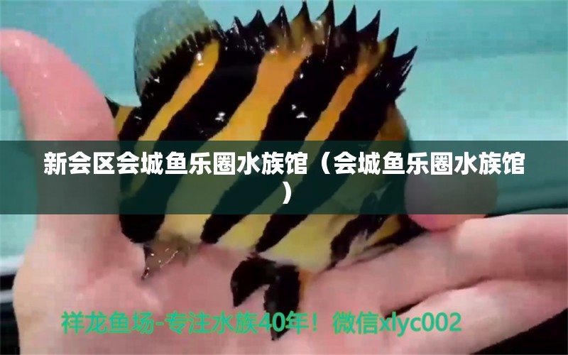 新会区会城鱼乐圈水族馆（会城鱼乐圈水族馆） 全国观赏鱼市场 第2张