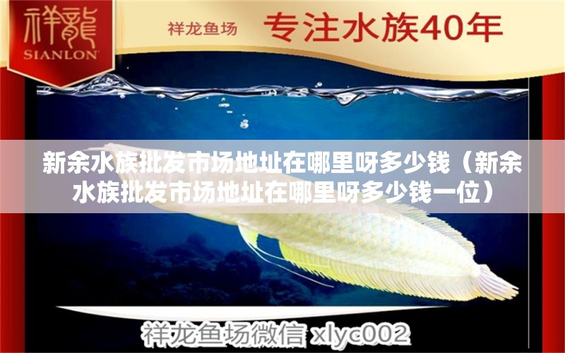 新余水族批发市场地址在哪里呀多少钱（新余水族批发市场地址在哪里呀多少钱一位）