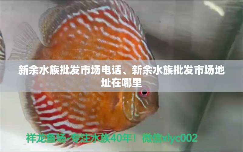 新余水族批发市场电话、新余水族批发市场地址在哪里