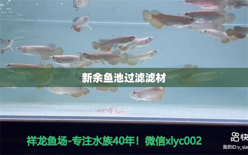 新余鱼池过滤滤材 广州水族器材滤材批发市场