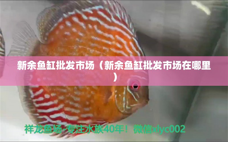 新余鱼缸批发市场（新余鱼缸批发市场在哪里） 观赏鱼水族批发市场