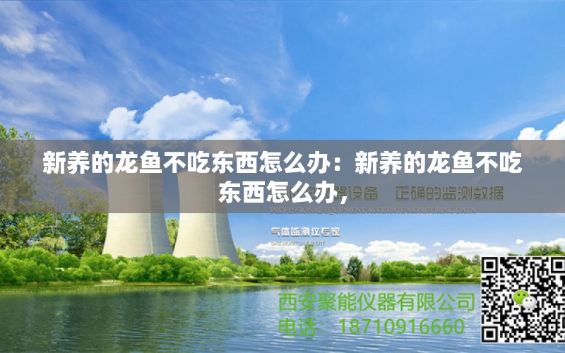 新养的龙鱼不吃东西怎么办：新养的龙鱼不吃东西怎么办，