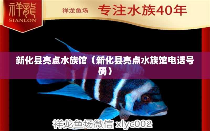 新化县亮点水族馆（新化县亮点水族馆电话号码）