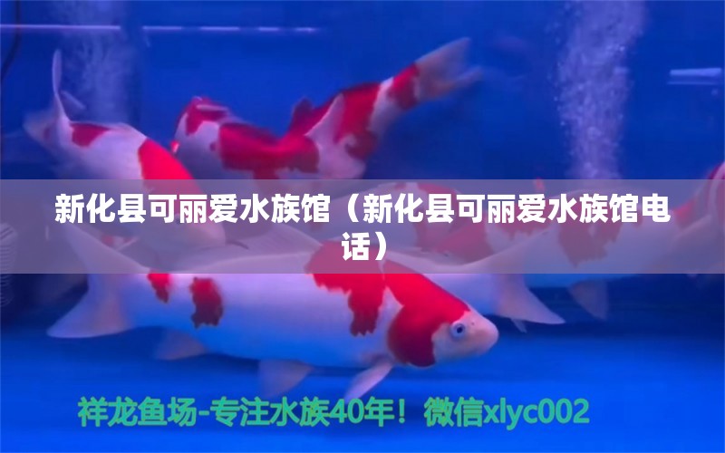 新化县可丽爱水族馆（新化县可丽爱水族馆电话） 全国水族馆企业名录